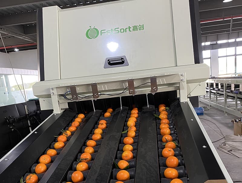 images/1686037915683citrus color weight grader.jpg